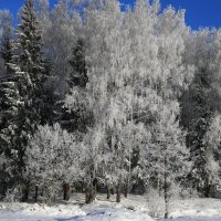 зима :: Владимир Вдовин