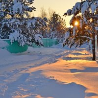 Зимнее солнце :: Елена Третьякова