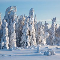 В плену зимы :: Анатолий 