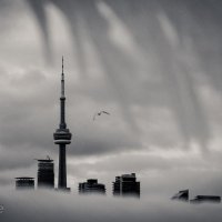 CN Tower :: Andy Zav