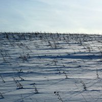 На холмах :: Радмир Арсеньев