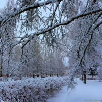 зима :: Laryan1 