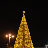Рождественская елка :: Ольга olga.puteshestvennik