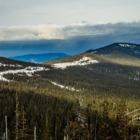 Солнечная лужа :: Juliya Shvett