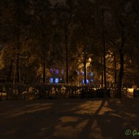 Ночь в парке :: Гетта G