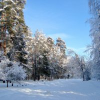 зимний пейзаж... :: Галина Флора