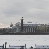 Зимний Санкт-Петербург :: Дарья Селянкина