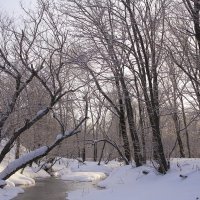 зима :: Владимир Артюхов