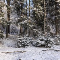 Зима в Кемери :: Анна Корсакова