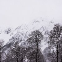 Серия "Горы Красной поляны" :: Анна Щербакова