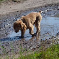 Только не ругаться.... ))) :: Роман Демчук