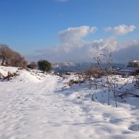 Нежданный снегопад.Горный пейзаж. :: Жанна Викторовна