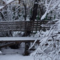 скамейка в зимнем саду... :: Елена Дапирка
