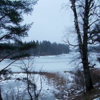 С наступающим старым Новым годом! :: Самохвалова Зинаида 