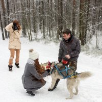 Фотограф работает. :: Александр Лейкум