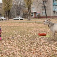 Знакомство. :: Sergey Анциферов