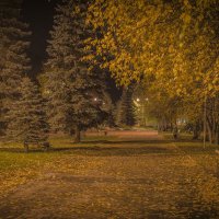 Осень в ночи :: Владимир 