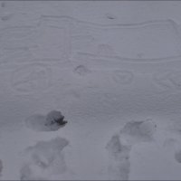 Снежный вездеход :: Нина Корешкова