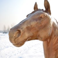 памятник лошади :: oxana 