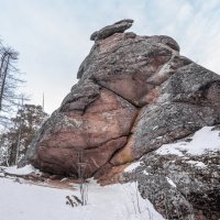 спящий камнеед :: Дамир Белоколенко