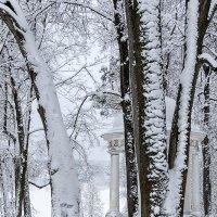 в старом парке после снегопада :: Galina 