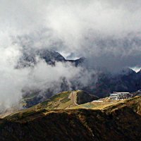 Кавказ :: vladimir 