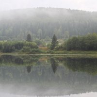 Утренний туман :: Татьяна Голосова