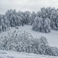 рождество :: Варвара 