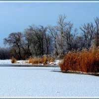 Днепр зимой. :: Николай   Тесля 