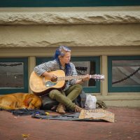 Без определенного места жительства, но с собакой и гитарой. :: Тамара Листопад