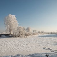 Мороз и солнце день чудесный!!! :: Юрий Бичеров