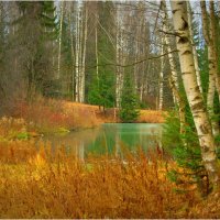 Краски поздней осени. :: Андрей Русинов