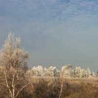 Зимний день :: Владимир Буравкин