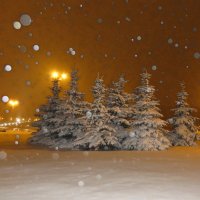 Снегопад! :: Ирина Олехнович