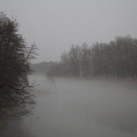 Туман :: валерия огородник