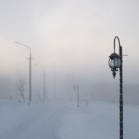 Морозное одиночество... :: Sergey Apinis