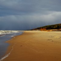 Пляж :: Дмитрий Близнюченко
