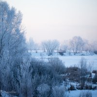 Зима. Утро. Мороз. :: Янгиров Амир Вараевич 