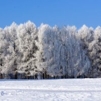 Пушистая зима :: Ольга Маркова