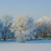 Мороз и солнце. :: Elena Izotova