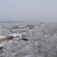В снегу :: Станислав Любимов