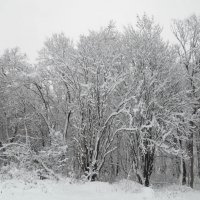 Налипание снега :: Станислав Любимов