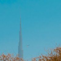 ОАЭ самое высокое здание в мире :: Freol Freol