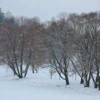 Январские снега... :: Tatiana Markova