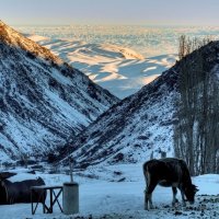 на дороге :: Евгений Предыбайло