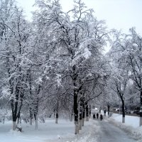 Зима в городе :: Елена Семигина