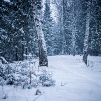 В том декабре. :: Дмитрий Постников