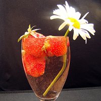 Первые ягоды :: Елена Круглова