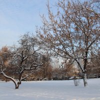 Зима 2015 :: Александра Воскресенская