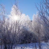 зима :: ayrat  malabaev 